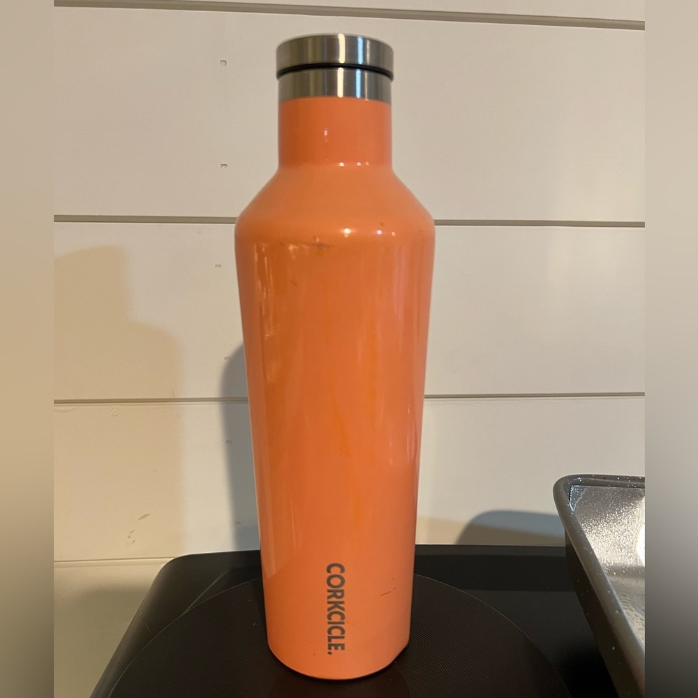 Corkcicle cup